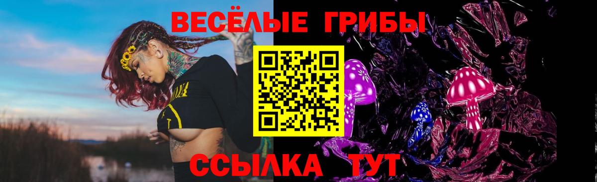 Галлюциногенные грибы Psilocybe Барнаул