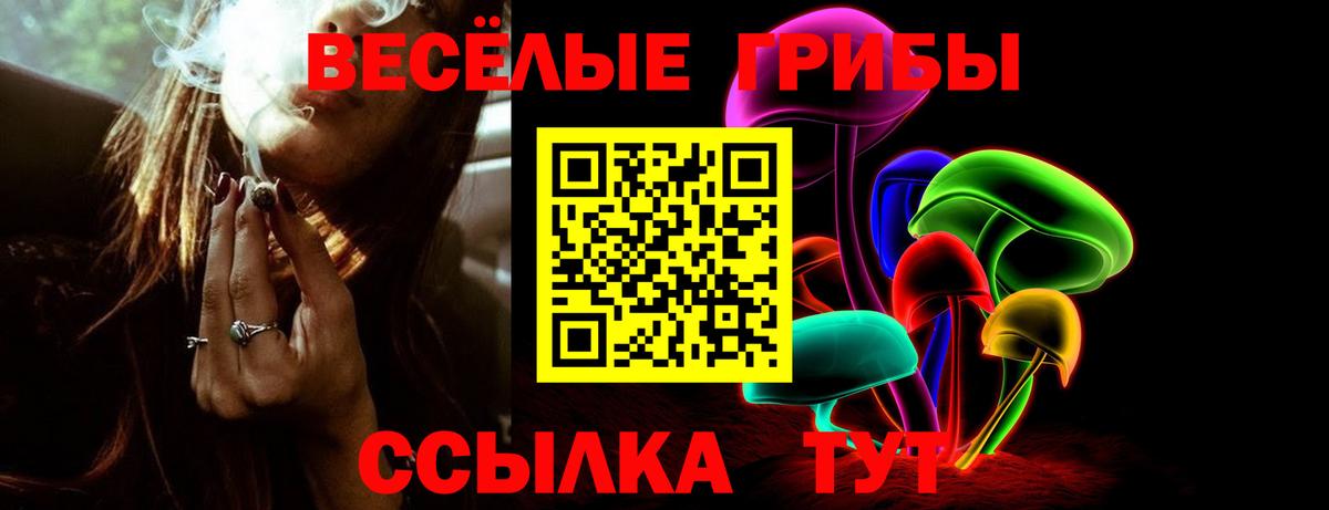 Барнаул  Псилоцибиновые грибы GOLDEN TEACHER  Вход с VPN 